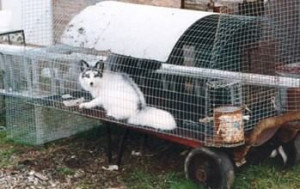 Continue with Facebook Sign up with Email