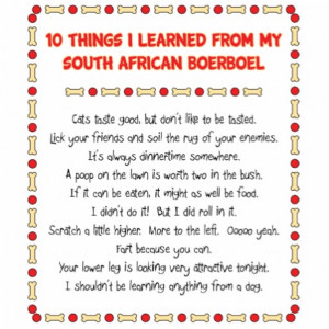 Funny Things I Learned From South African Boerboel Photo Cut Outs