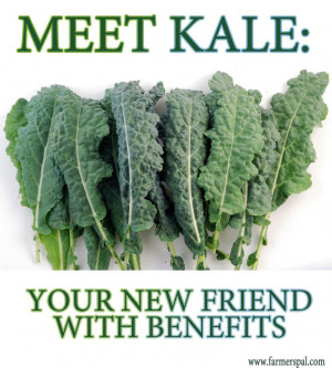 Killing the Myths: Kale Isn’t Bad For You & It Won’t Kill You!
