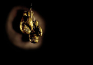Boxing Gloves Image
