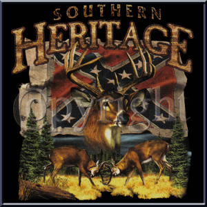 confederate flag quotes