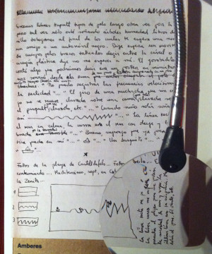 Tinajero’s “poem” from The Savage Detectives, but Maria notes ...