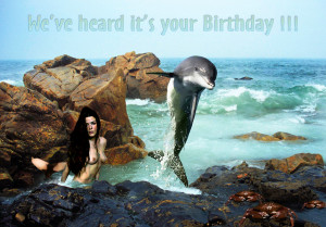 Dolphin Birthday Card Animarta