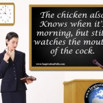 Quotes and Sayings About Chickens