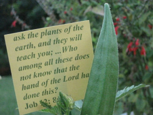 ... http://myeyesonchrist.blogspot.com/p/garden-related-bible-verses.html