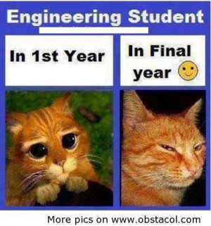 civil green engineer joke | Engineering Students Quotes