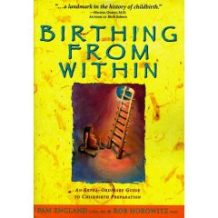 Birthing From Within, by Pam England