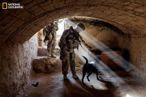 Army Staff Sgt. Jason Cartwright with his Labrador retriever, Isaac ...