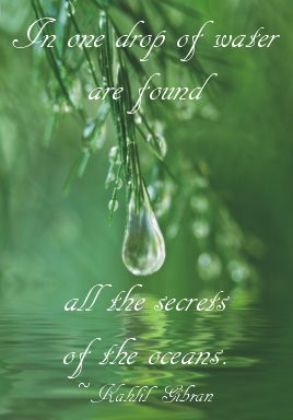 In One Drop Of Water Are Found All The Secrets Of The Oceans