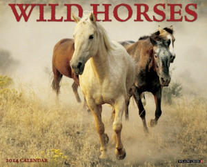 Wild Horses 2014 Wall Calendar