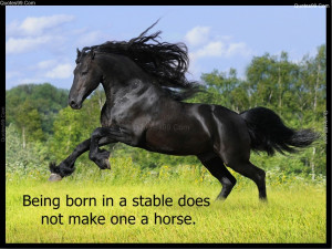 Cute Horse Quotes Being born in a stable does