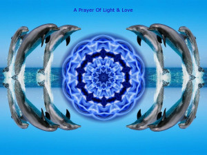 Oil Spill Healing Dolphin Mandala wallpapers backgrounds, Gods Images ...