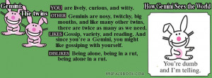 happy bunny gemini zodiac astrology birthday sign