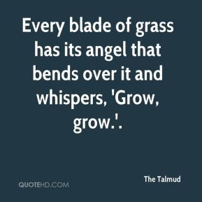 The Talmud - Every blade of grass has its angel that bends over it and ...