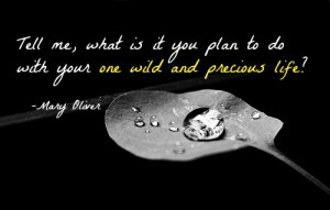 ... is it you plan to do with your one wild and precious life? Mary Oliver