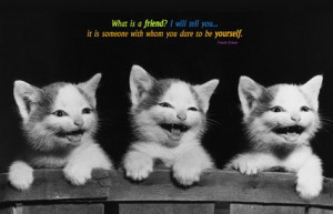 Funny-Cats-with-Friendship-Quotes-and-Sayings-Images-for-Teenage-Girls ...