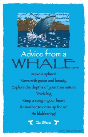 Whale Wisdom...