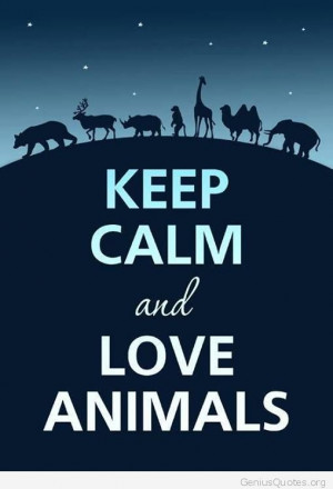 Love animals