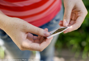Teenagers Who Smoke Cannabis Damage Their Brains for LIFE and may be ...