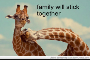 Family Stick Together Quotes