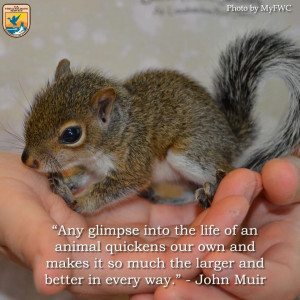 ... Be Inspired By John Muir's Words: Animals Really Do Enrich Our Lives