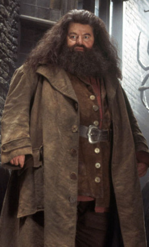 Hagrid11