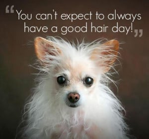 You can't always have a good hair day Picture Quote #1