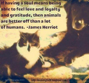 If having a soul means... James Herriot quote. www.facebook.com ...