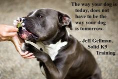 the way your dog is today does not have to be the way your dog is ...