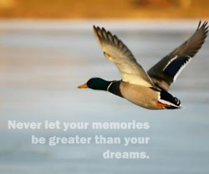 Birds quotes, larry bird quotes, bird quote