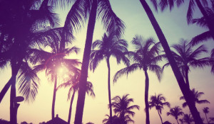 Download by size: Handphone / Tablet / Desktop (Original size)