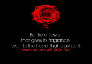 ... ali flower be life a flower crush ali ibn abi talib aliibnabitalib