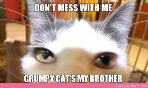 don t mess with me grumpy cat s my brother