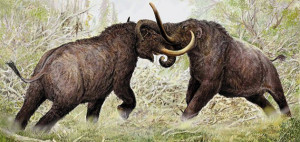 Mammoth vs Mastodon