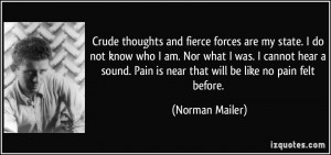 Crude thoughts and fierce forces are my state. I do not know who I am ...