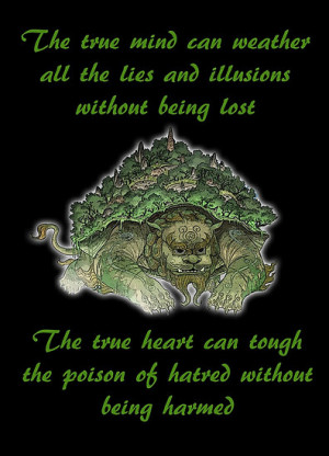 ... › Portfolio › The Legend of Korra Lion Turle With Quote
