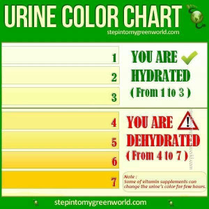 Urine color chart, dehydrationColors Charts, Hydration, Fit, Healthy ...