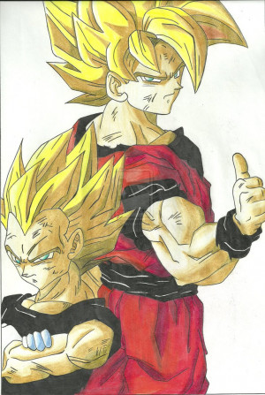 Goku and Vegeta by ShogunTzu