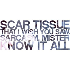 Scar Tissue Lyrics