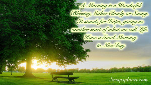 Copy the code below to your friends' scrapbook to share this image or ...