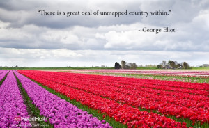 There is a great deal of unmapped country within us which would have ...