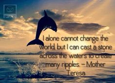 MOTHER TERESA, quote, wise words, dolphin, ocean view, jumping, water ...