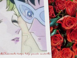 Sailormoon Fotolog