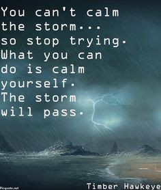 ... What you can do is calm yourself. The storm will pass. ~Timber Hawkeye
