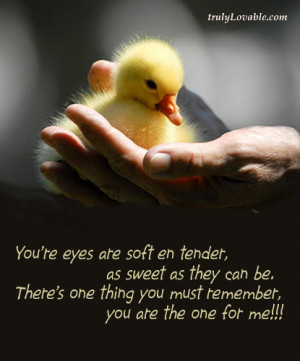 You are the One for Me