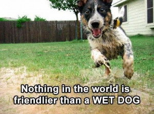 Funny Quotes About Dog Owners #1