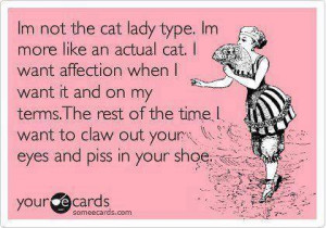 Funny quotes – Im not the cat lady type