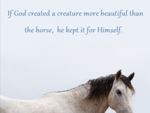 Horse quote. Beautiful horse.