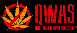 Stop Smoking WeedQuit Weed and Succeed
