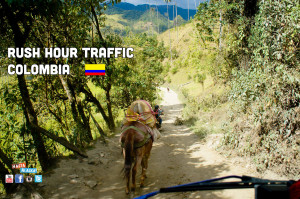 One of the auto-pilot coffee mules in the Colombian mountains